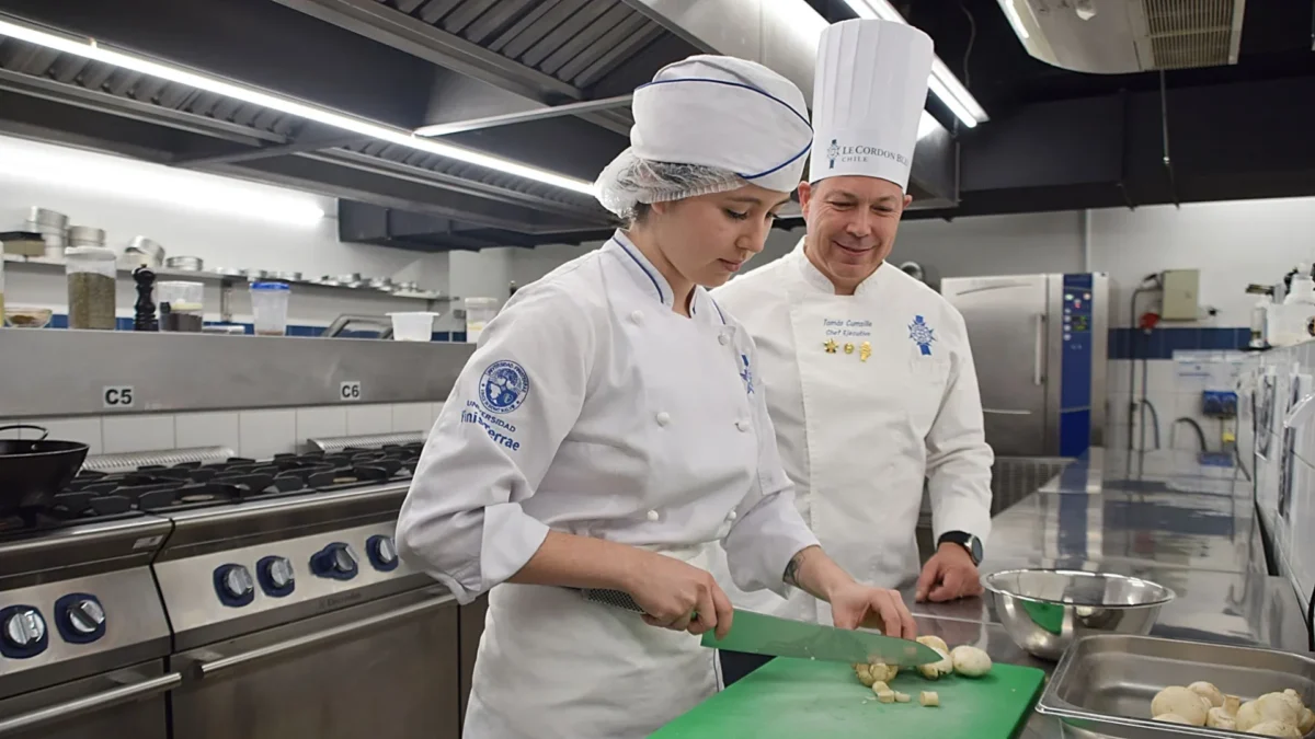 Dirección y Gestión de Artes Culinarias