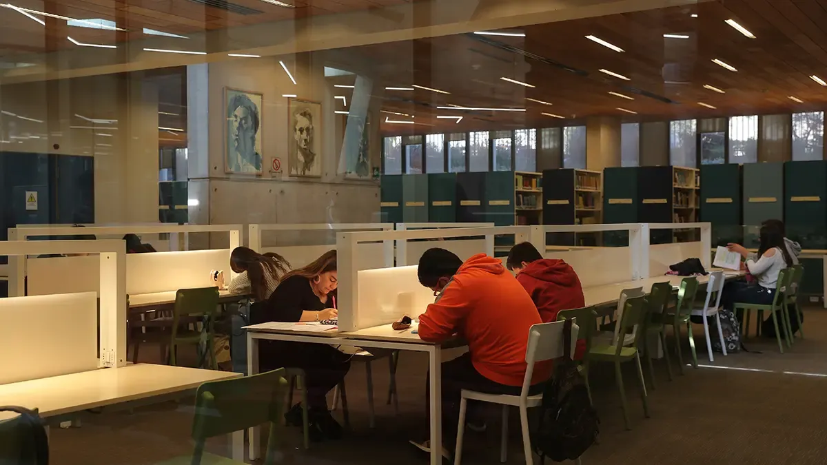 Estudiantes universitarios